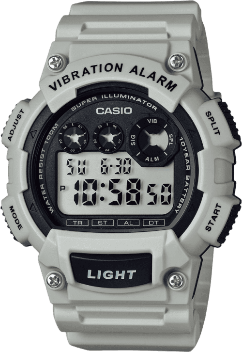 Casio Standard