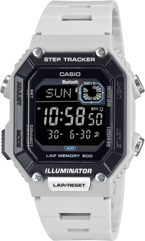 Casio Standard