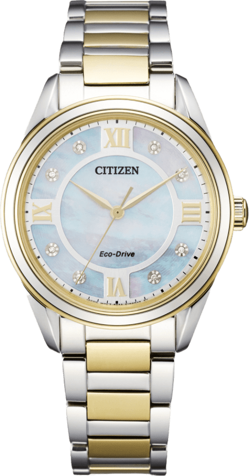Citizen Arezzo