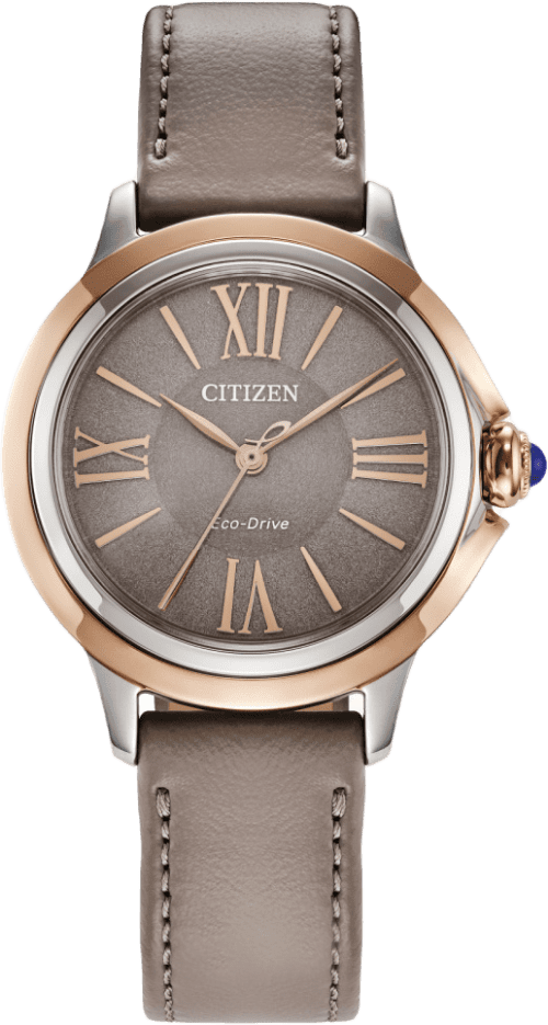 Citizen Ceci