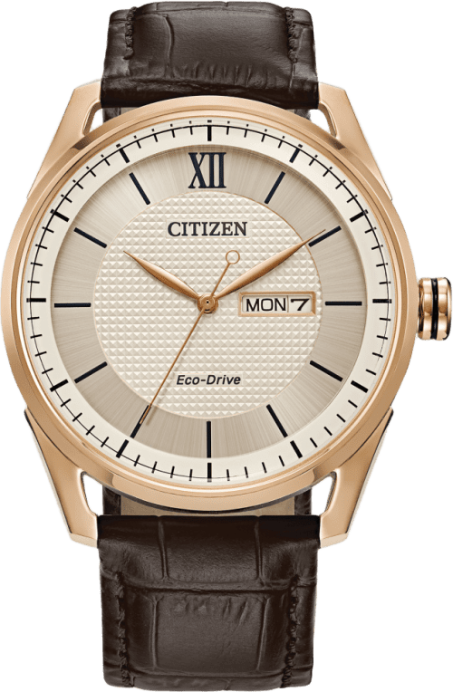 Citizen Classic