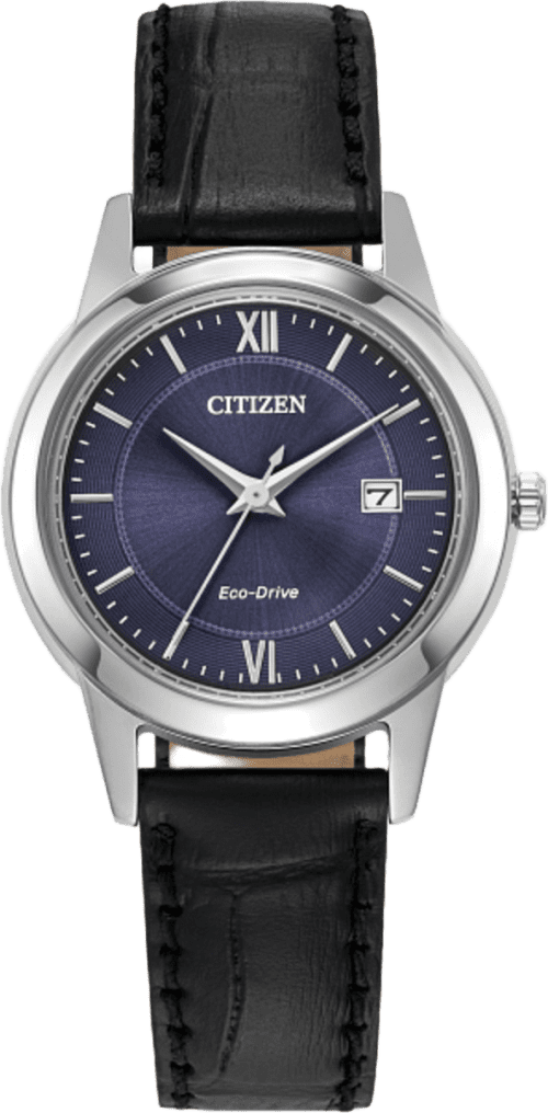 Citizen Classic