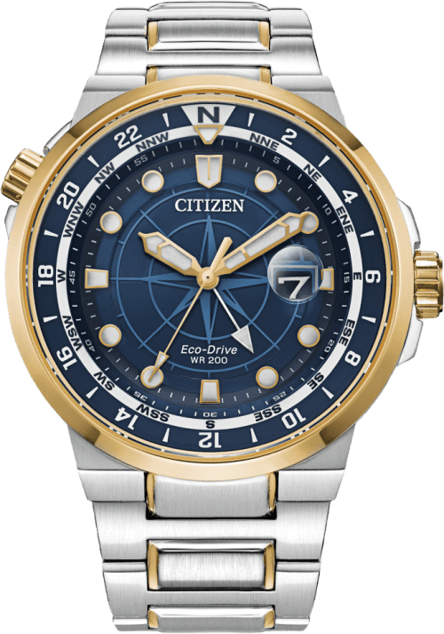 Citizen Endeavor