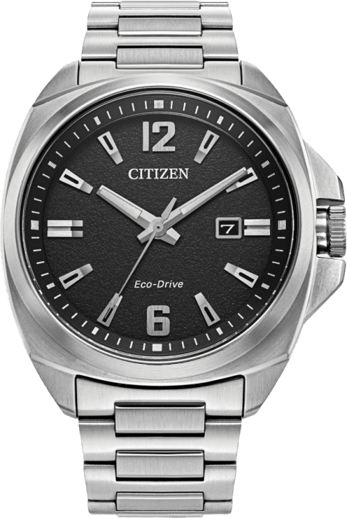 Citizen Endicott
