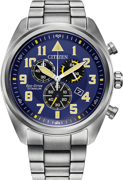 Citizen Garrison