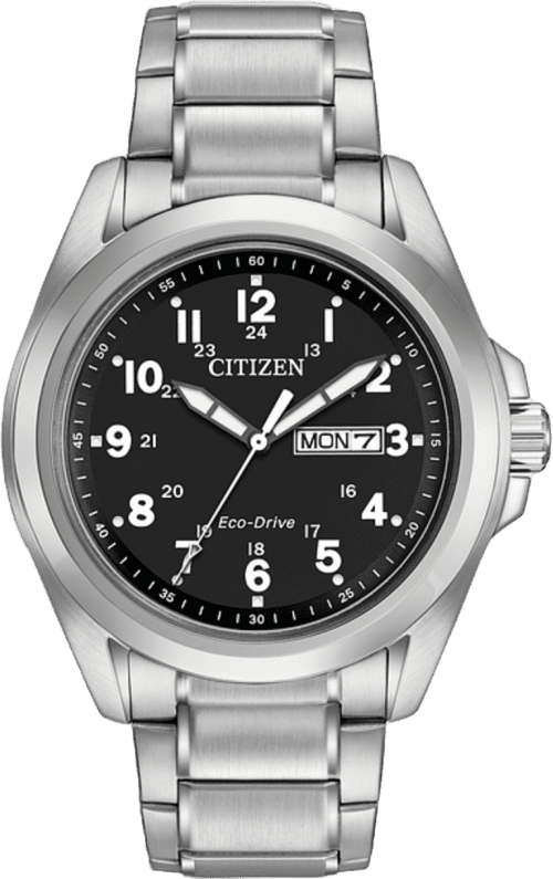 Citizen Garrison
