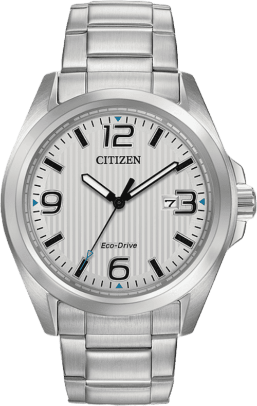 Citizen Garrison