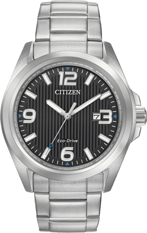 Citizen Garrison