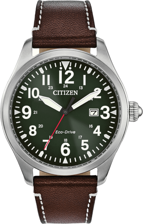 Citizen Garrison
