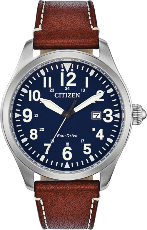 Citizen Garrison