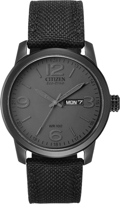 Citizen Garrison
