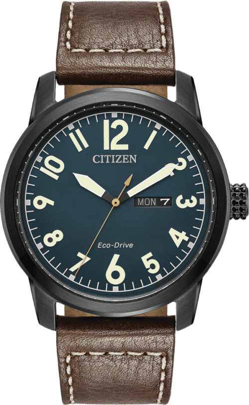Citizen Garrison