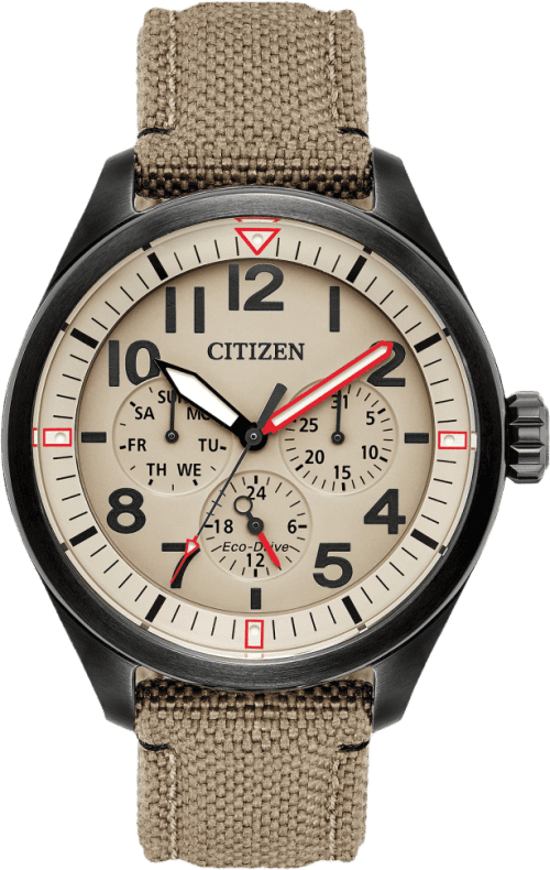 Citizen Garrison
