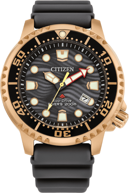 Citizen Promaster Dive