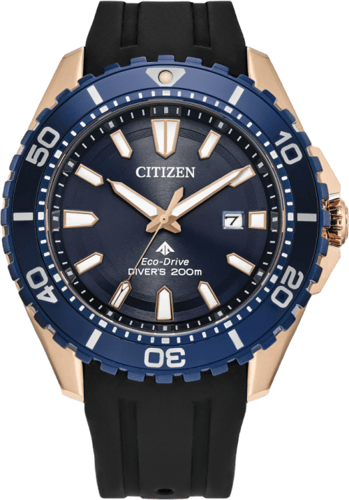 Citizen Promaster Dive