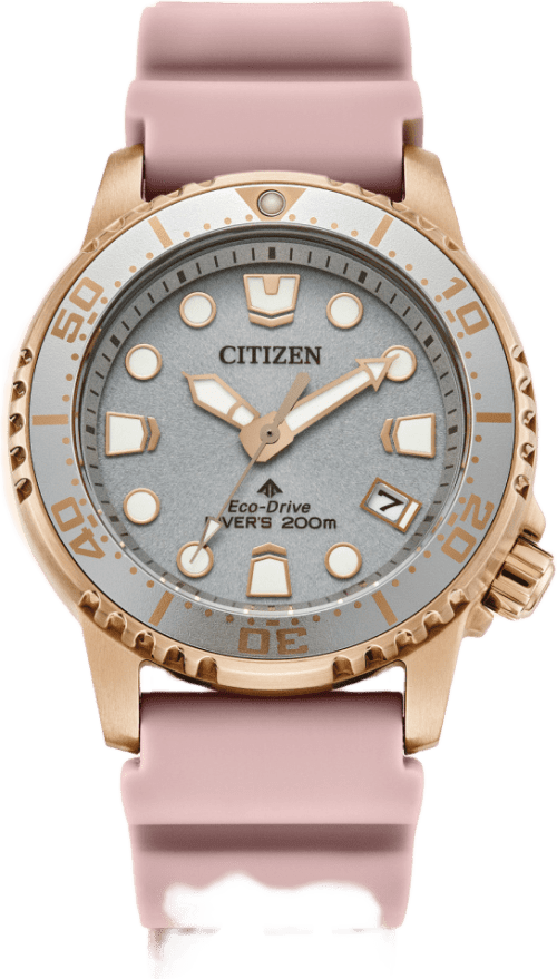 Citizen Promaster Dive