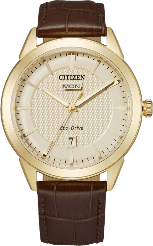 Citizen Rolan
