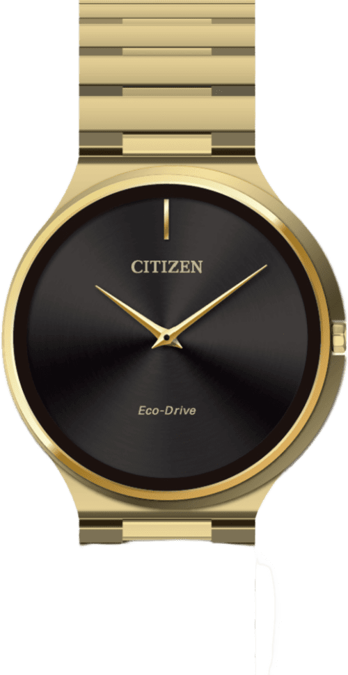 Citizen Stiletto