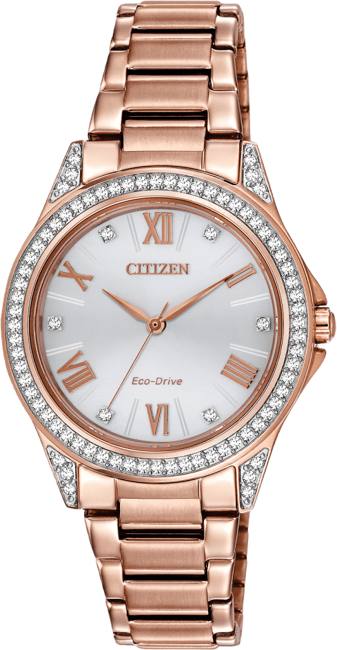 Citizen Weekender