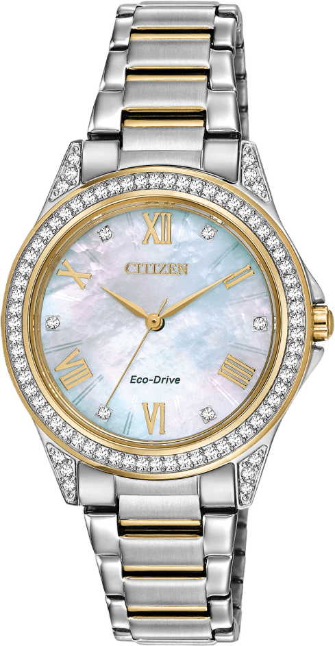 Citizen Weekender