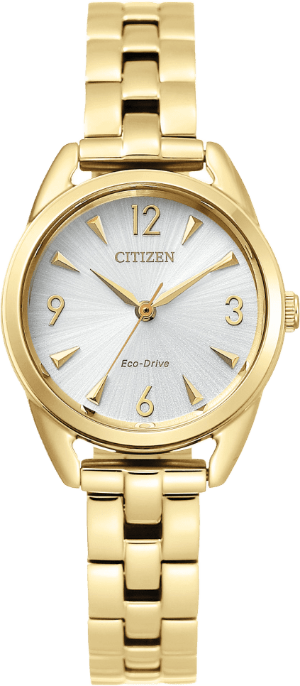 Citizen Weekender