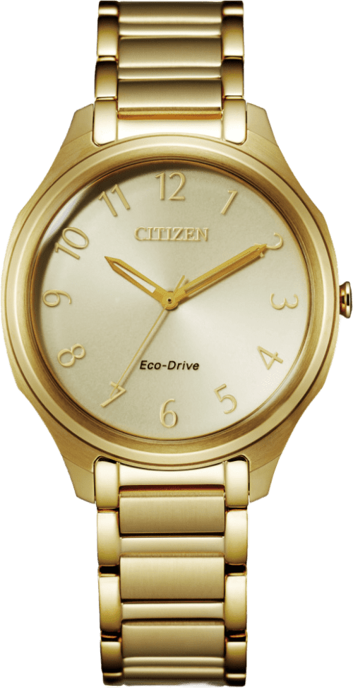 Citizen Weekender