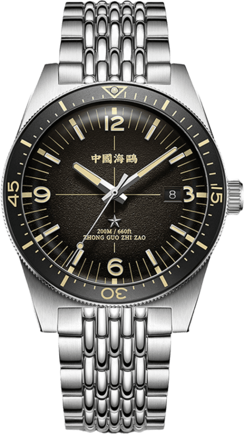 Seagull 1984 Antarctic Expedition Dive 200m Retro Watch