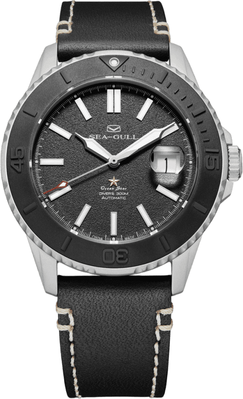 Seagull Ocean Star