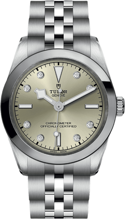 Tudor Black Bay 31