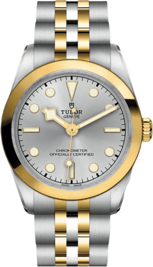 Tudor Black Bay 31 S&g