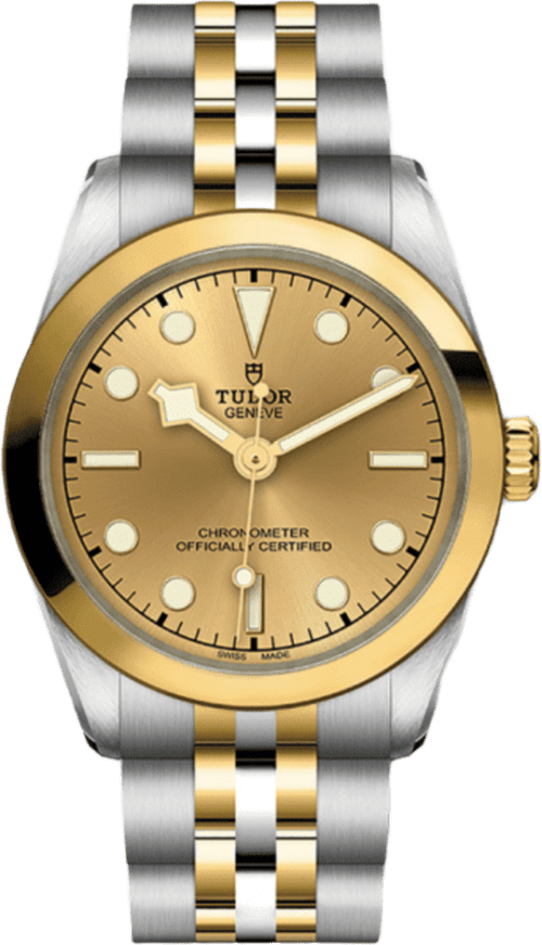 Tudor Black Bay 31 S&g