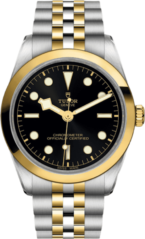 Tudor Black Bay 36 S&g