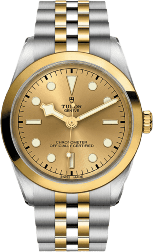 Tudor Black Bay 36 S&g