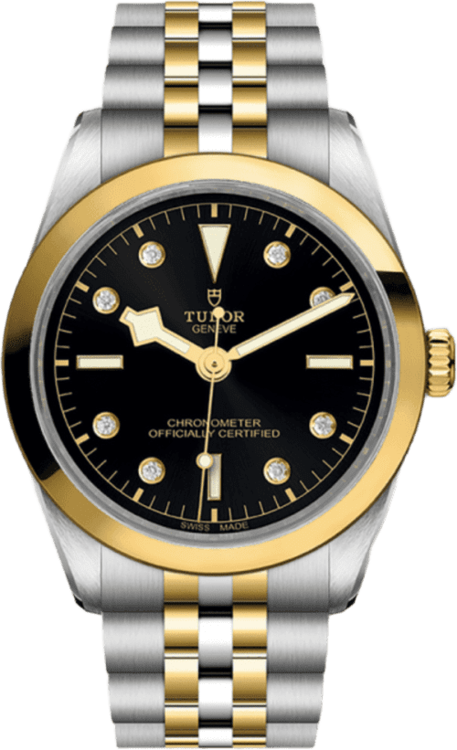 Tudor Black Bay 36 S&g