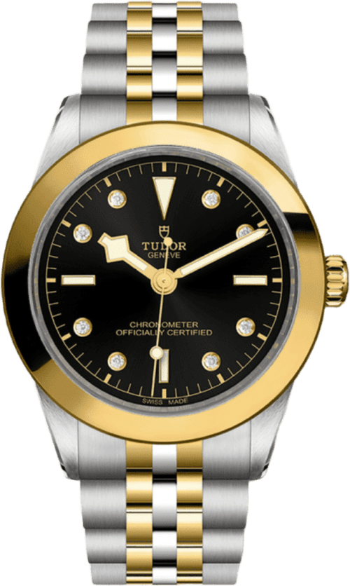 Tudor Black Bay 39 S&g