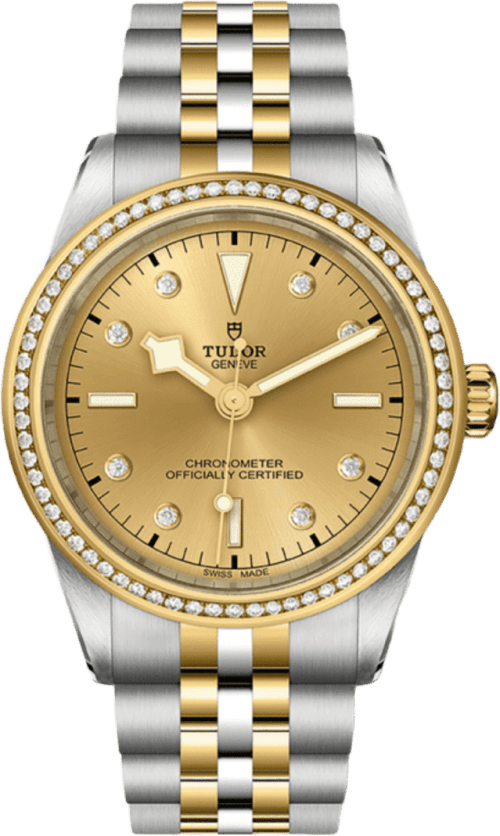 Tudor Black Bay 39 S&g