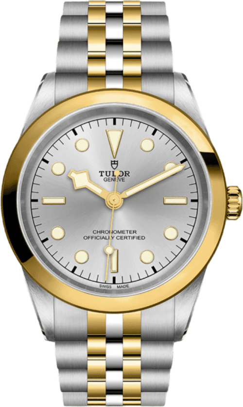 Tudor Black Bay 41 S&g