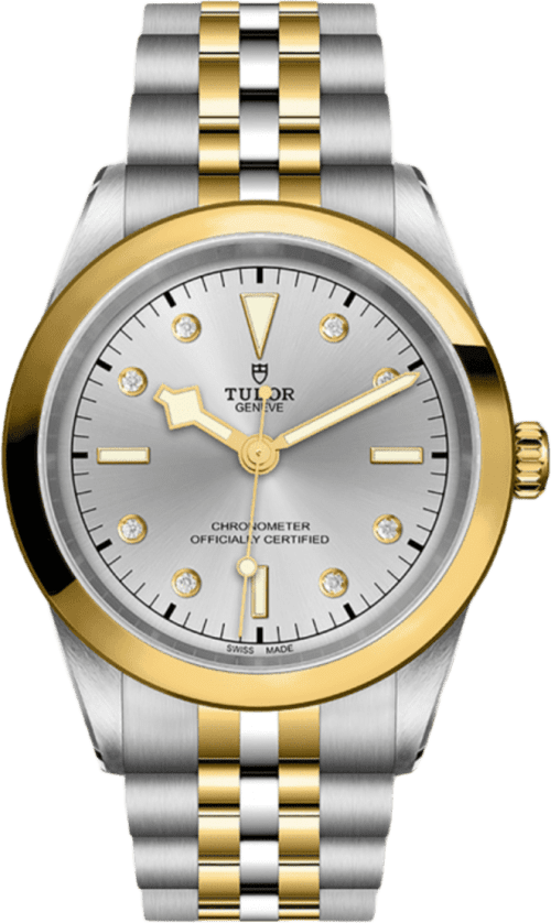 Tudor Black Bay 41 S&g