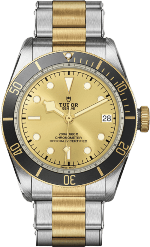 Tudor Black Bay S&g