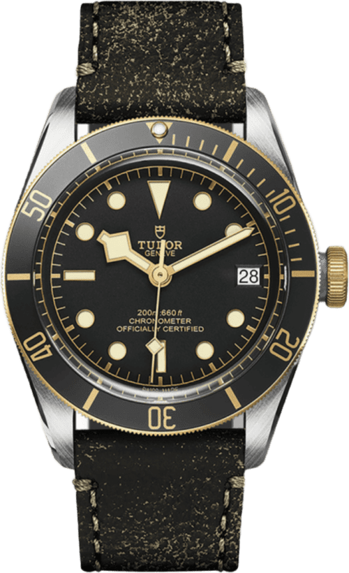 Tudor Black Bay S&g