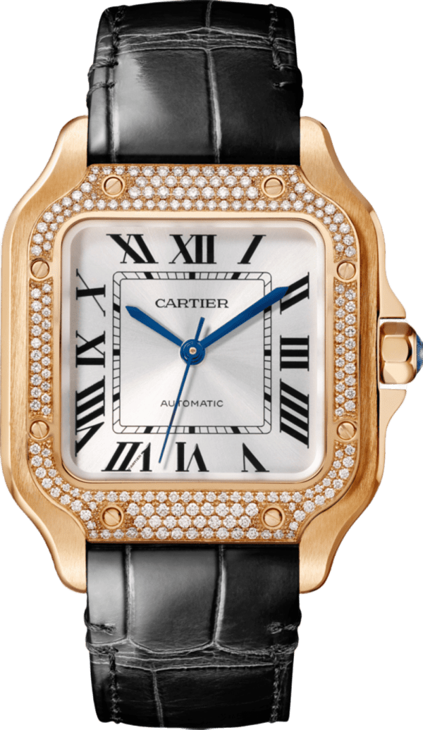 Cartier Santos De Cartier Watch