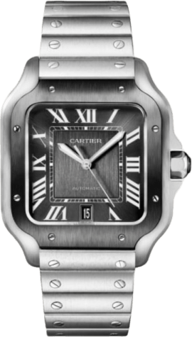 Cartier Santos De Cartier Watch