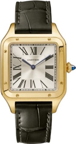 Cartier Santos-dumont Watch