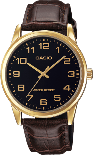 Casio Analog