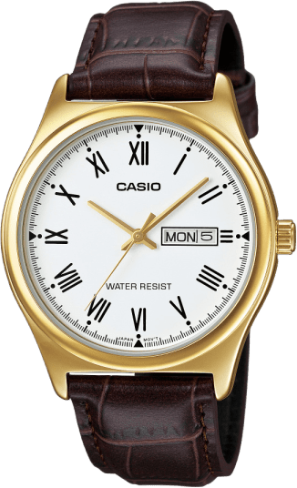 Casio Analog