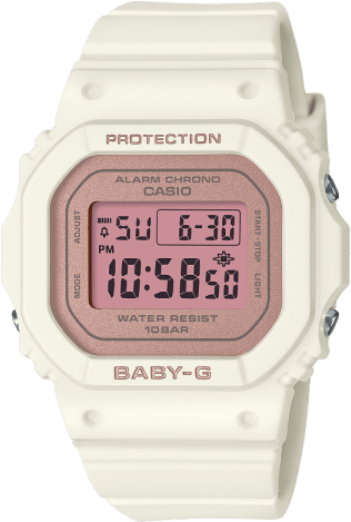 Casio Bgd-565 Series