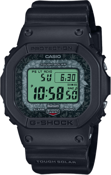 Casio Digital 5600 Series