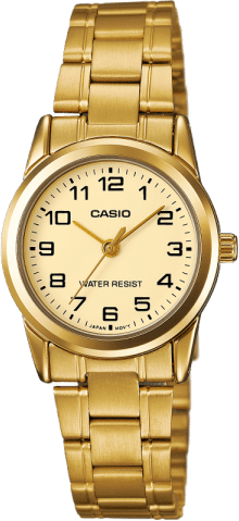 Casio Standard