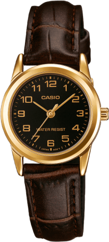 Casio Standard