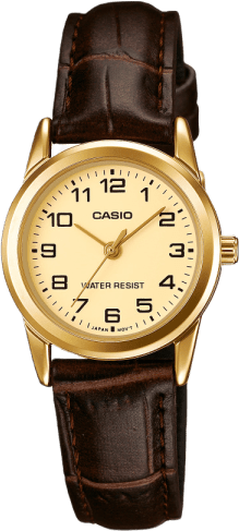 Casio Standard